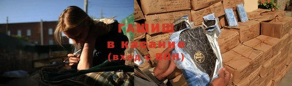 дживик Гатчина