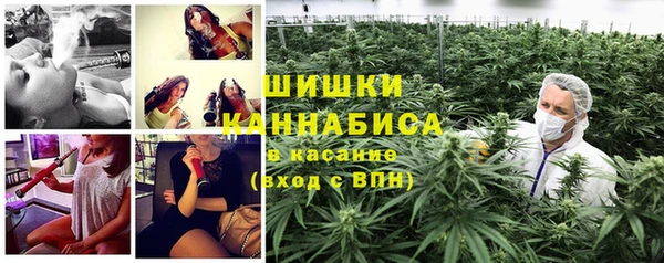 стаф Новокубанск