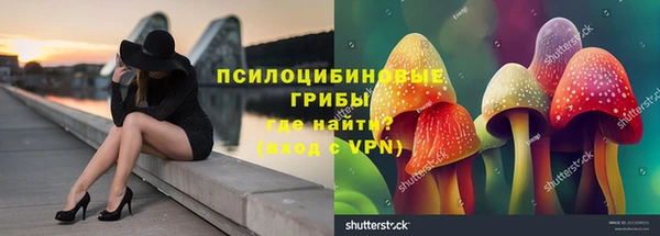 MDMA Няндома